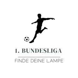 1. Bundesliga