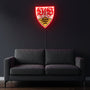 VfB Stuttgart LED Lampe