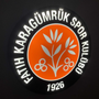 Fatih Karagümrük SK LED Lampen