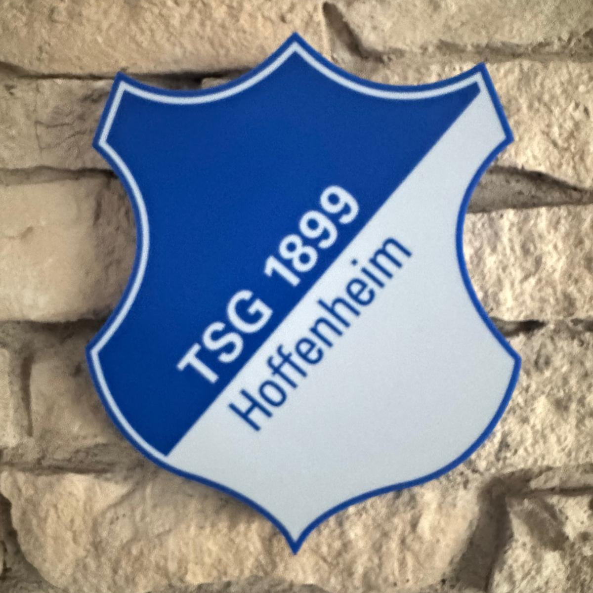 TSG Hoffenheim LED Lampe
