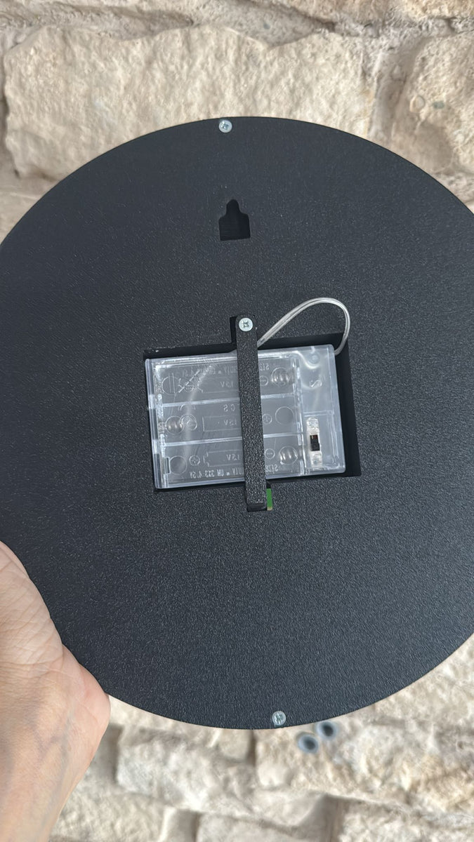 BVB LED Lampe mit Löwen Motive