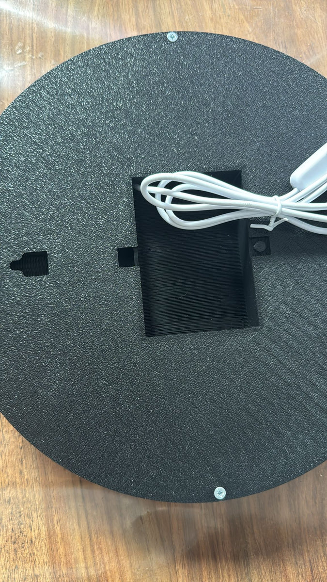 BVB LED Lampe mit Löwen Motive