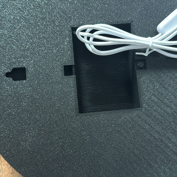 BVB LED Lampe mit Löwen Motive