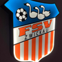 FSV Zwickau LED Lampe